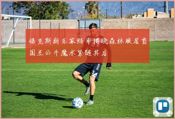 福克斯新东家赔率揭晓森林狼居首国王公牛魔术紧随其后