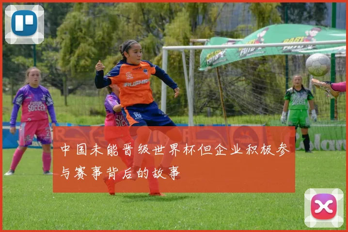 中国未能晋级世界杯但企业积极参与赛事背后的故事