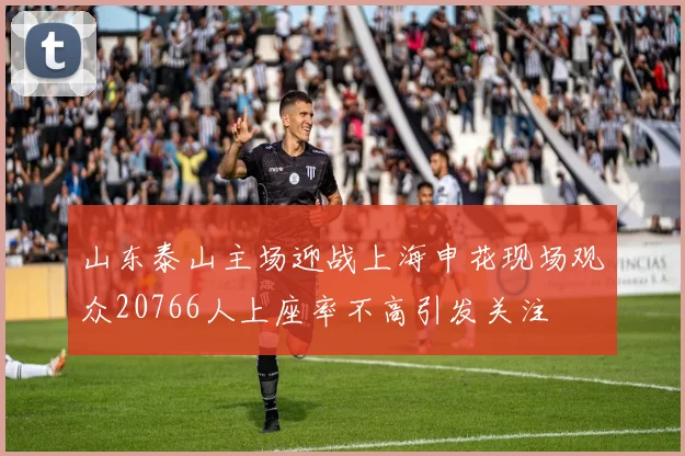 山东泰山主场迎战上海申花现场观众20766人上座率不高引发关注