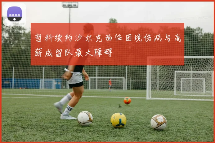 哲科续约沙尔克面临困境伤病与高薪成留队最大障碍
